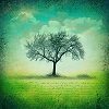 Kleines Bild von einem Baum
